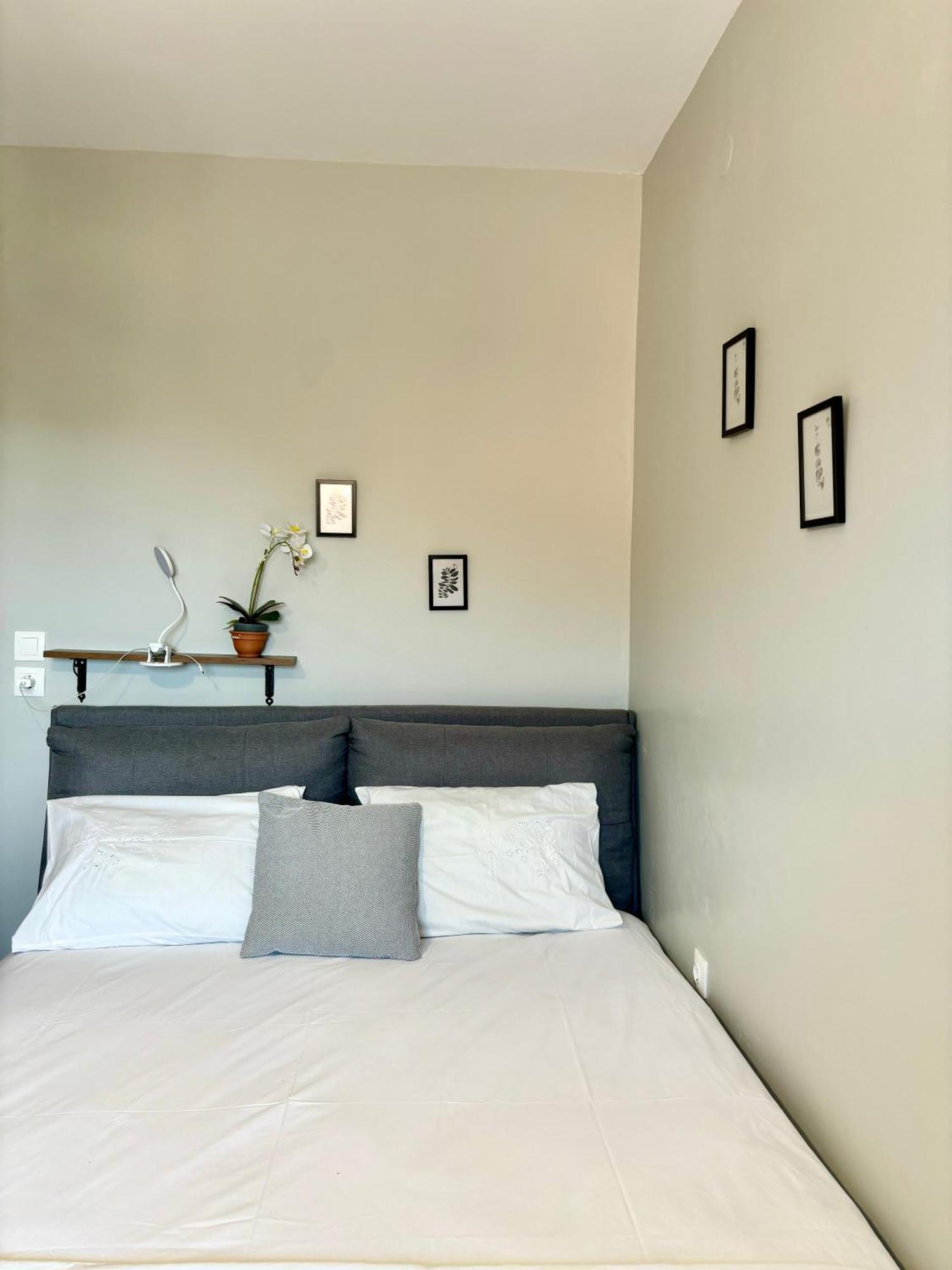 Traditional Corfiot House Apartment Perivolion